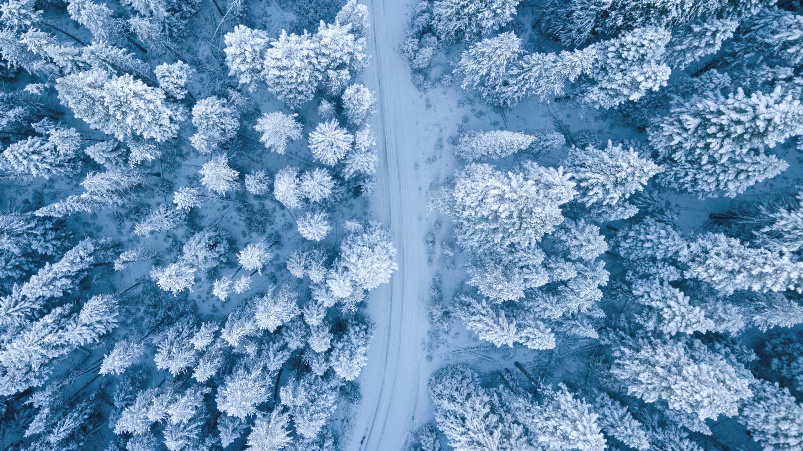 Aerial view of a snow-covered road running through a snowy wooded area